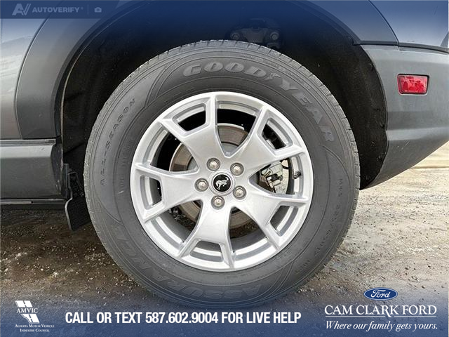 2023 Ford Bronco Sport Base (Stk: P6823) in Olds - Image 6 of 22