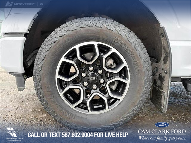 2021 Ford F-150 Lariat (Stk: P6926) in Olds - Image 6 of 23