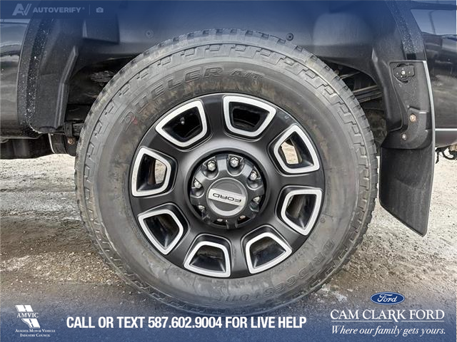 2023 Ford F-350 Platinum (Stk: P6918) in Olds - Image 6 of 25