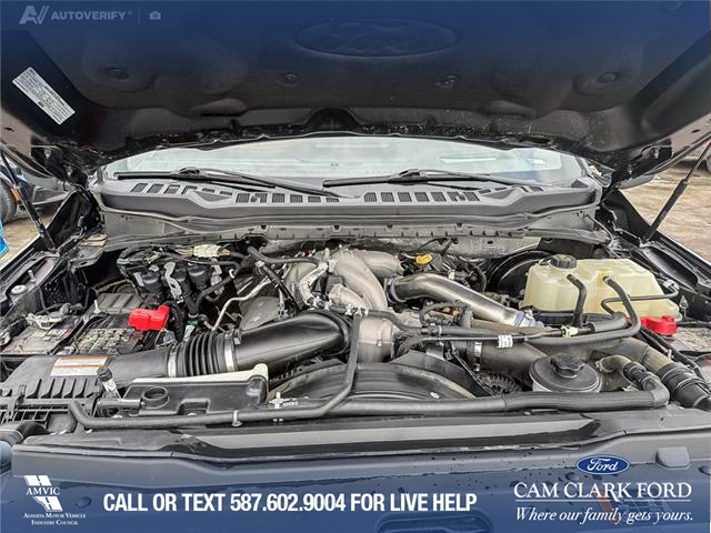 2023 Ford F-350 Platinum (Stk: P6918) in Olds - Image 10 of 25