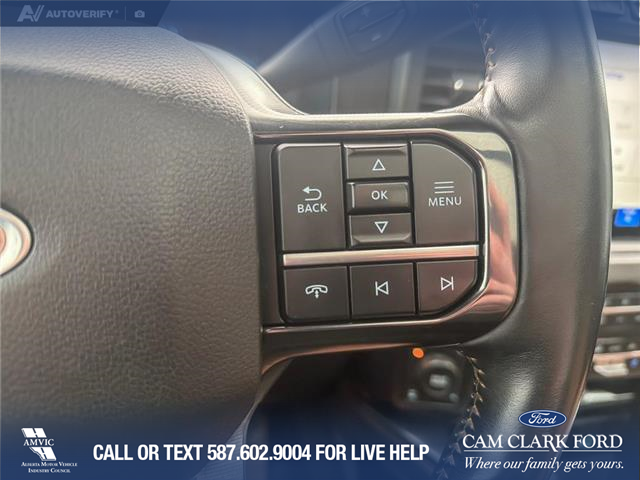 2023 Ford F-350 Platinum (Stk: P6918) in Olds - Image 16 of 25