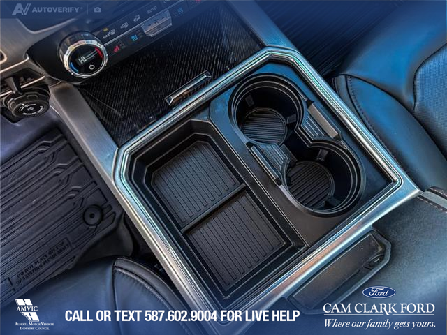 2022 Ford F-350 Platinum (Stk: P1595) in Canmore - Image 18 of 27