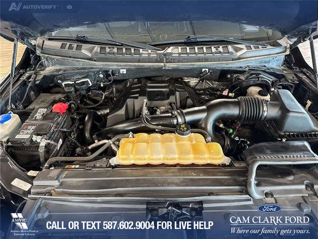 2017 Ford F-150 XLT (Stk: P14834) in Airdrie - Image 10 of 25