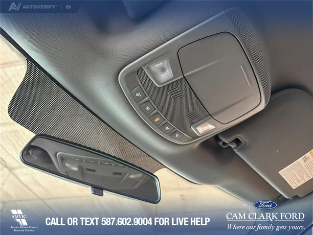 2017 Ford F-150 XLT (Stk: P14834) in Airdrie - Image 21 of 25