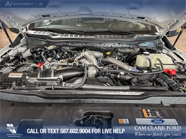2024 Ford F-250 XLT (Stk: P14751) in Airdrie - Image 10 of 25