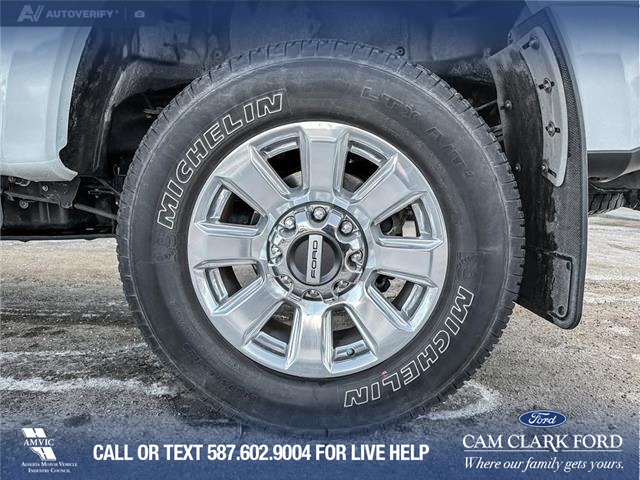 2021 Ford F-350 Platinum (Stk: P6906) in Olds - Image 6 of 24