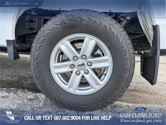 2023 Ford F-150 XLT (Stk: P6967) in Olds - Image 6 of 24