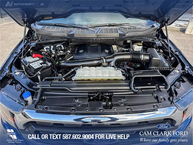 2023 Ford F-150 XLT (Stk: P1597) in Canmore - Image 10 of 25