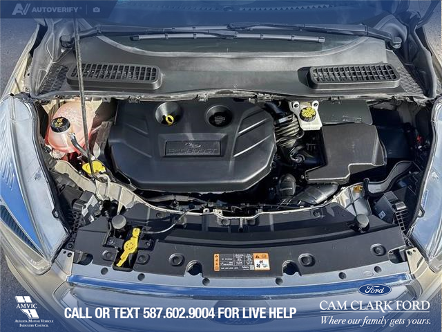 2017 Ford Escape Titanium (Stk: P1598) in Canmore - Image 10 of 27