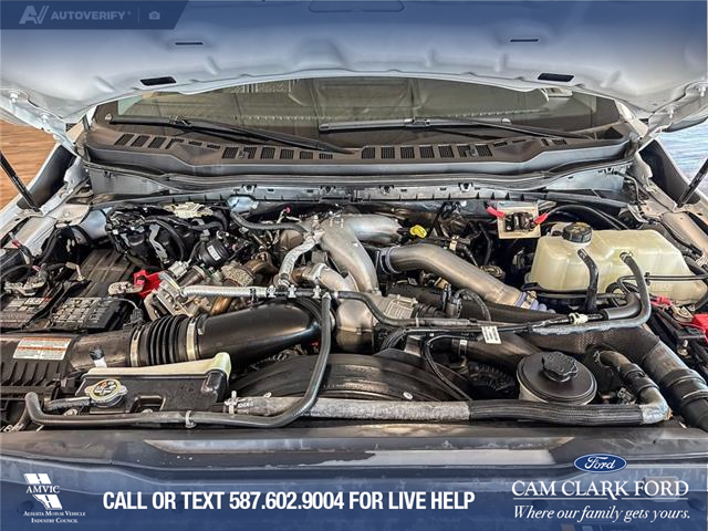 2024 Ford F-250 XLT (Stk: P14753) in Airdrie - Image 10 of 23