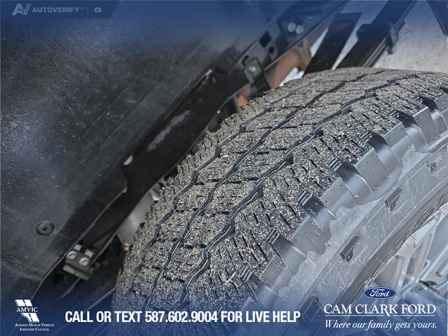 2023 Ford F-350 Limited (Stk: P6933) in Olds - Image 7 of 24