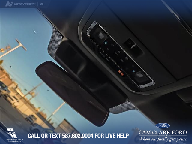 2023 Ford F-350 Limited (Stk: P6933) in Olds - Image 20 of 24