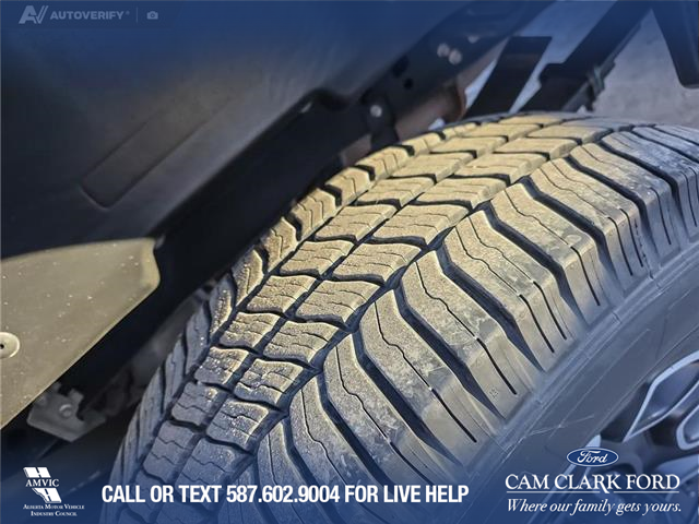 2023 Ford F-350 Platinum (Stk: P6884) in Olds - Image 7 of 24