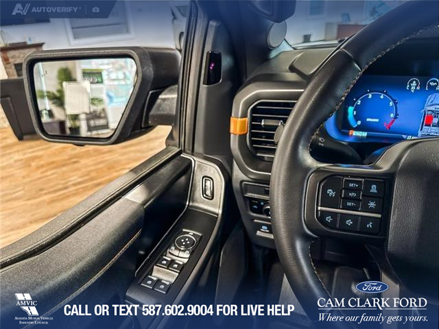 2025 Ford F-150 Tremor (Stk: P14906) in Airdrie - Image 17 of 25