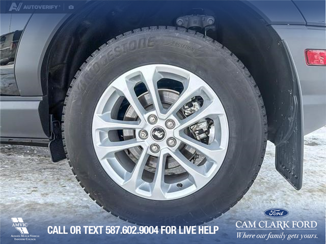 2024 Ford Bronco Sport Big Bend (Stk: P6961) in Olds - Image 6 of 25