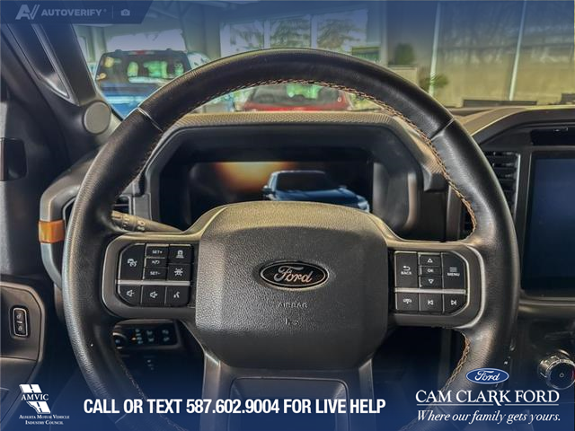 2025 Ford F-150 Tremor (Stk: P14904) in Airdrie - Image 14 of 25