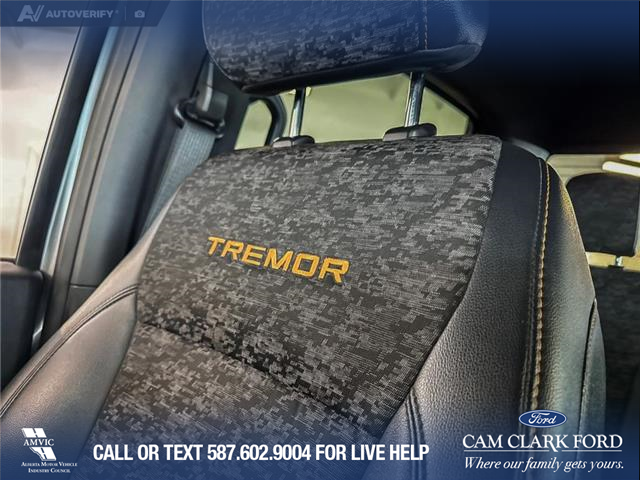 2025 Ford F-150 Tremor (Stk: P14904) in Airdrie - Image 20 of 25