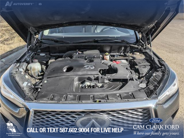 2019 Infiniti QX50 ESSENTIAL (Stk: P1184) in Innisfail - Image 9 of 19
