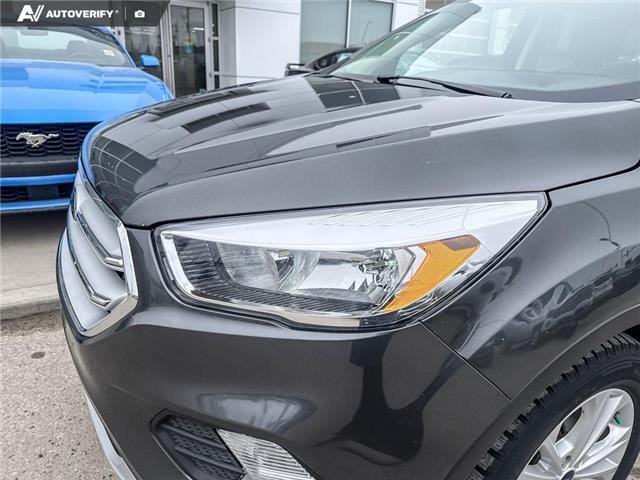 2019 Ford Escape SE (Stk: P7003) in Olds - Image 8 of 25 2019 Ford Escape SE (Stk: P7003) in Olds - Image 8 of 25