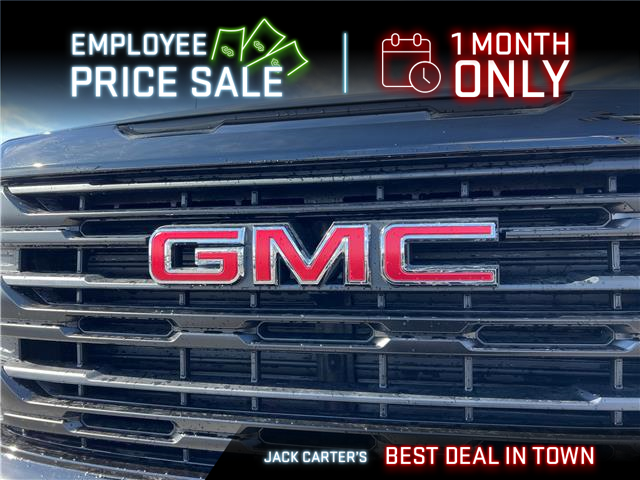 2026 GMC Sierra 1500 Pro (Stk: TZ307160) in Calgary - Image 10 of 20