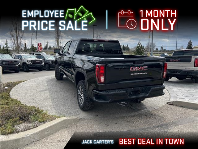 2026 GMC Sierra 1500 Pro (Stk: TZ346608) in Calgary - Image 3 of 21