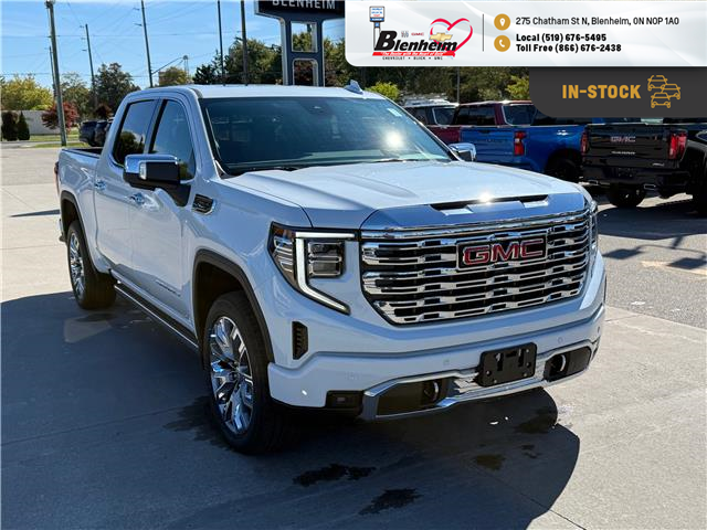 2026 GMC Sierra 1500 Denali (Stk: T025) in Blenheim - Image 9 of 34
