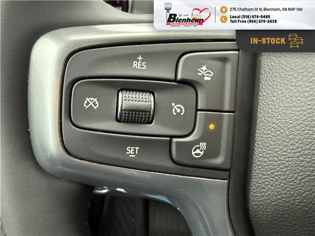 2026 Chevrolet Silverado 1500 LT Trail Boss (Stk: TT097) in Blenheim - Image 19 of 30