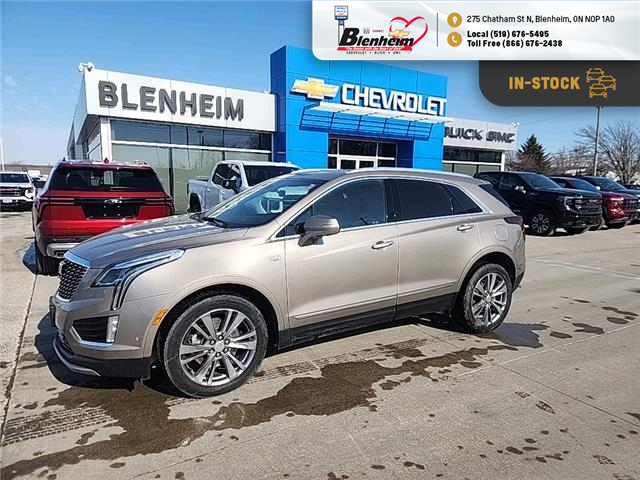 2023 Cadillac XT5 Premium Luxury (Stk: 6C005A) in Blenheim - Image 1 of 17