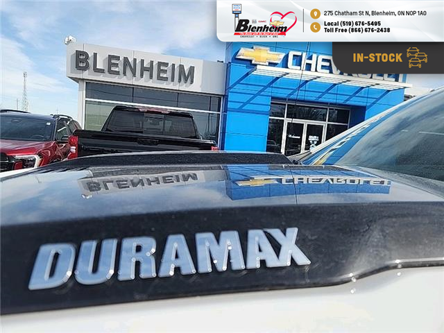 2024 Chevrolet Silverado 1500 Custom Trail Boss (Stk: 6C010A) in Blenheim - Image 4 of 18 2024 Chevrolet Silverado 1500 Custom Trail Boss (Stk: 6C010A) in Blenheim - Image 4 of 18