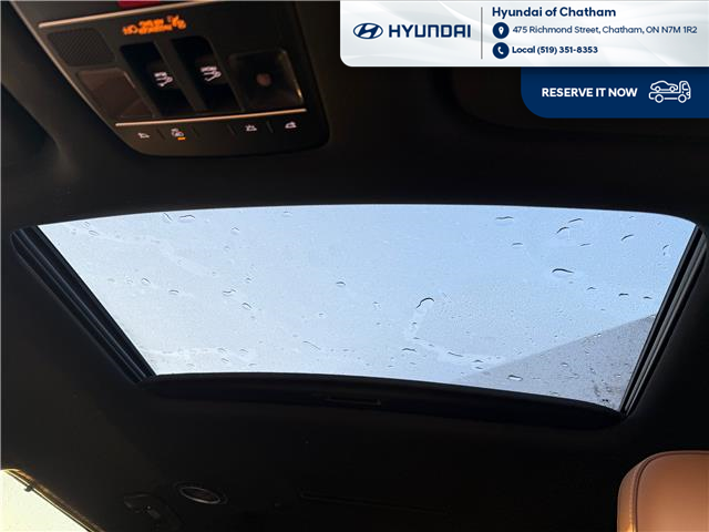 2026 Hyundai Palisade Ultimate Calligraphy (Stk: T096) in Chatham - Image 31 of 38