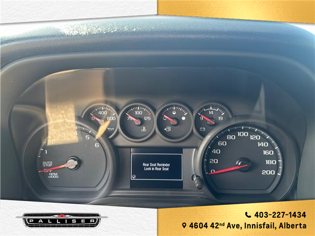 2024 Chevrolet Silverado 1500 Custom Trail Boss (Stk: 6191) in Innisfail - Image 13 of 14