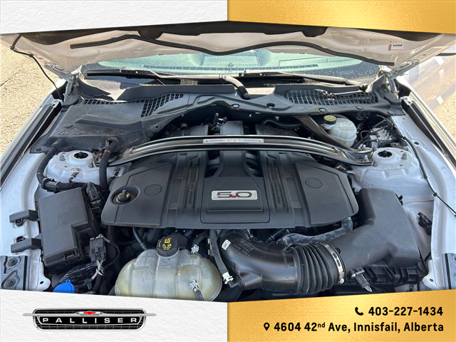 2021 Ford Mustang  (Stk: 6202) in Innisfail - Image 16 of 22