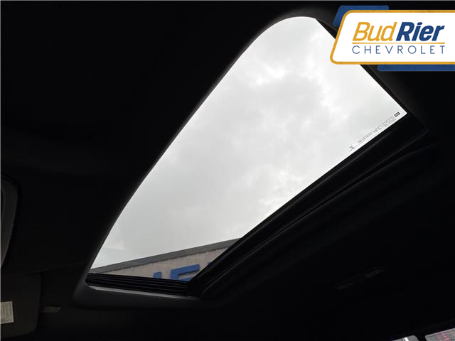 2022 Chevrolet Silverado 1500 LTD High Country in Paisley - Image 14 of 14
