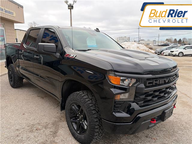 2023 Chevrolet Silverado 1500 Custom Trail Boss in Paisley - Image 3 of 12
