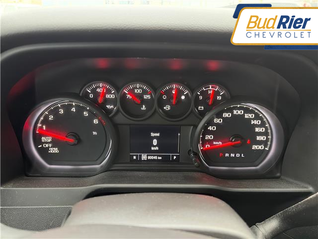 2023 Chevrolet Silverado 1500 Custom Trail Boss in Paisley - Image 11 of 12