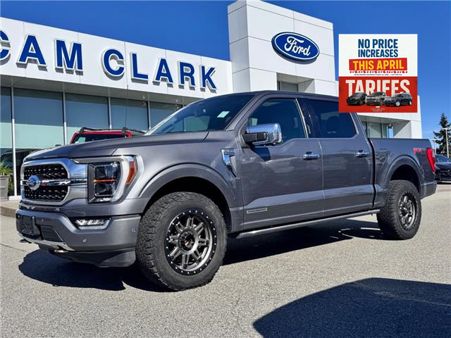 2022 Ford F-150 Platinum (Stk: X69577) in Richmond - Image 1 of 28