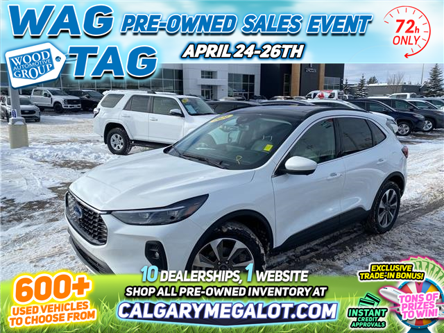 2024 Ford Escape Platinum (Stk: 19115) in Calgary - Image 1 of 24