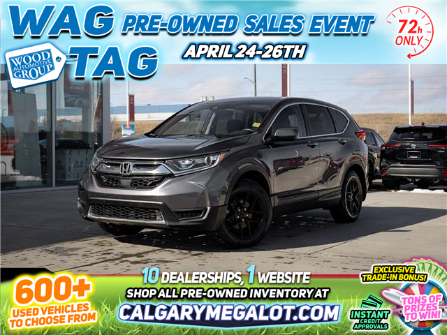 2019 Honda CR-V LX (Stk: B8803A) in Calgary - Image 1 of 40