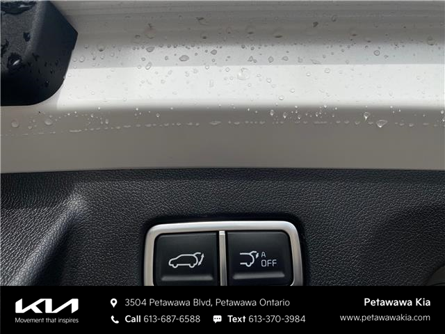 2025 Kia Sorento Plug-In Hybrid EX (Stk: 25186) in Petawawa - Image 19 of 33