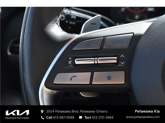 2025 Hyundai Palisade Ultimate Calligraphy Night (Stk: P0804) in Petawawa - Image 27 of 38