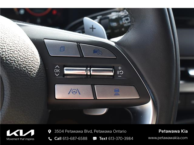 2025 Hyundai Palisade Ultimate Calligraphy Night (Stk: P0804) in Petawawa - Image 28 of 38