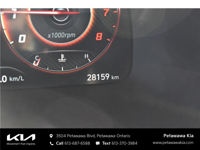 2025 Hyundai Palisade Ultimate Calligraphy Night (Stk: P0804) in Petawawa - Image 25 of 38