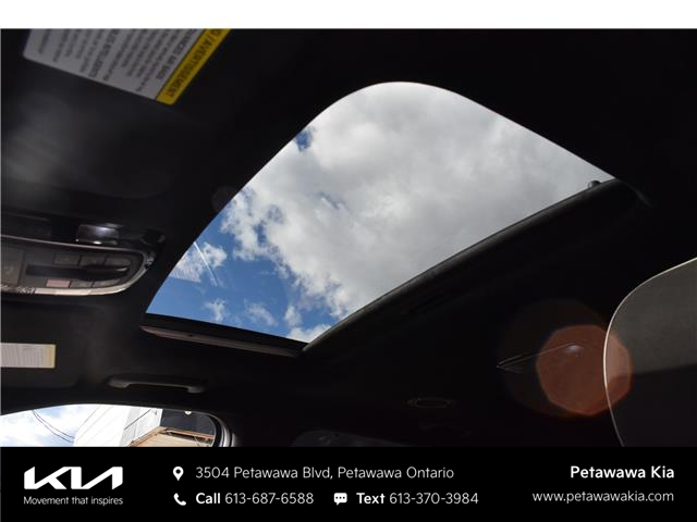 2025 Hyundai Palisade Ultimate Calligraphy Night (Stk: P0804) in Petawawa - Image 19 of 38