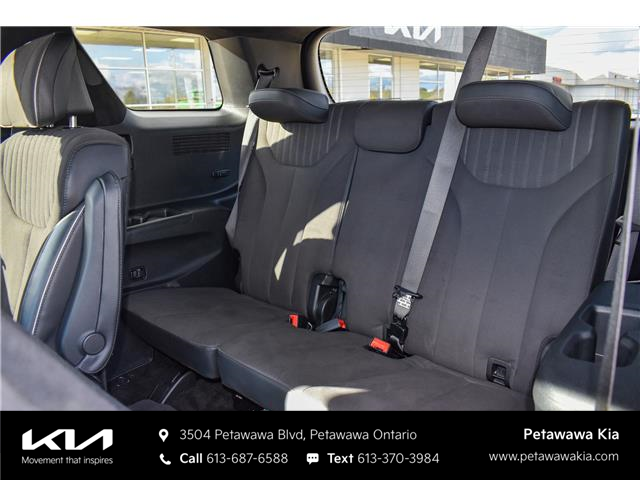 2025 Hyundai Palisade Ultimate Calligraphy Night (Stk: P0804) in Petawawa - Image 24 of 38