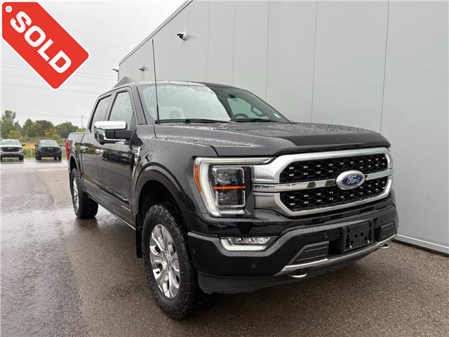 2022 Ford F-150 Platinum (Stk: 25-1948A) in Listowel - Image 1 of 35