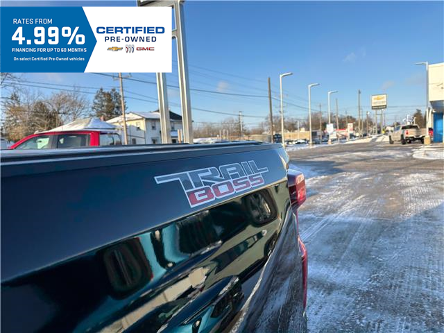2021 Chevrolet Silverado 1500 LT Trail Boss (Stk: TM263124) in Caledonia - Image 13 of 48