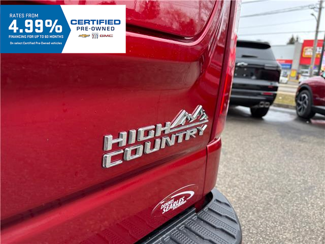 2024 Chevrolet Silverado 1500 High Country (Stk: TR202387) in Caledonia - Image 17 of 63