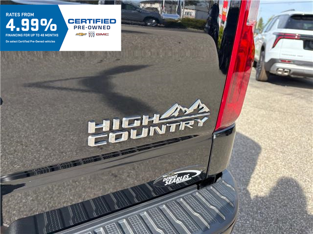 2023 Chevrolet Silverado 1500 High Country (Stk: TP174458) in Caledonia - Image 16 of 62