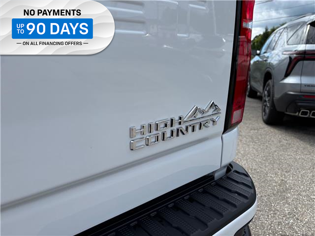 2025 Chevrolet Silverado 2500HD High Country (Stk: TS232650) in Caledonia - Image 19 of 64