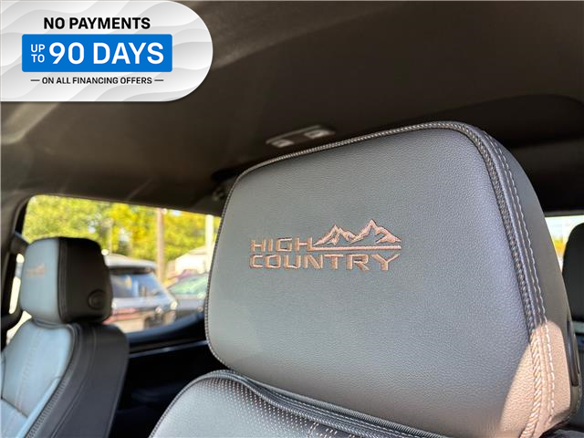 2026 Chevrolet Silverado 1500 High Country (Stk: TT114880) in Caledonia - Image 29 of 31